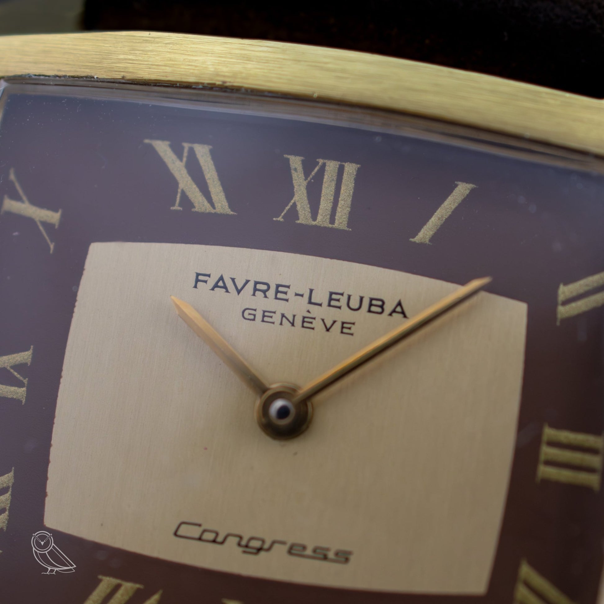 Favre - Leuba Congress - VINTAS