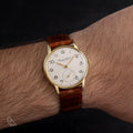 IWC Calatrava - Style - VINTAS