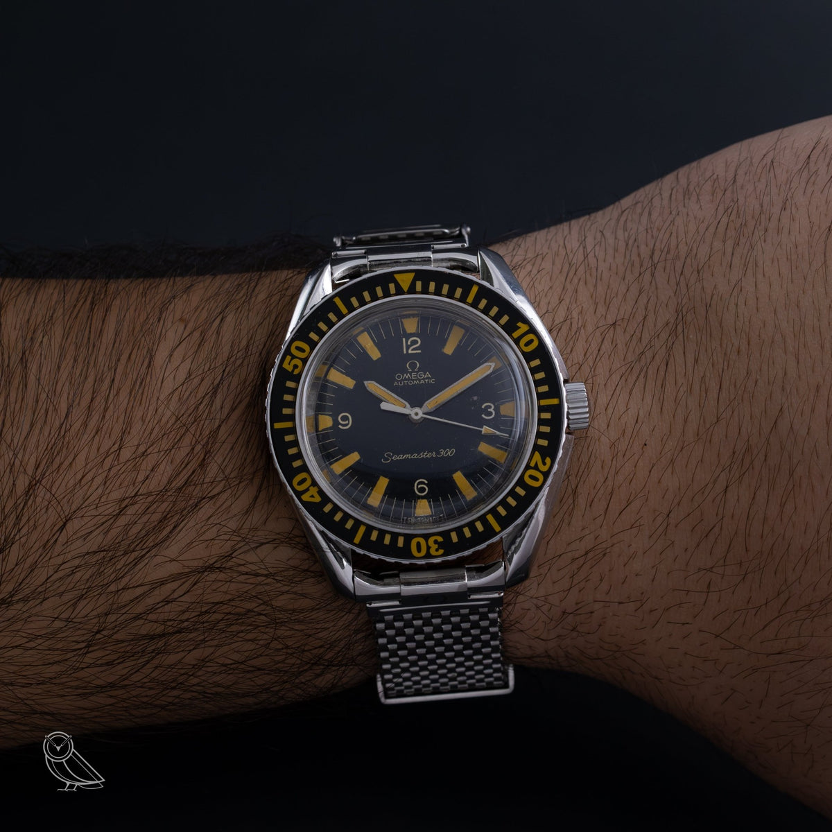 Omega Seamaster 300 165.024 - VINTAS